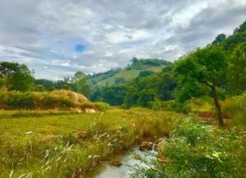 Lambasingi- Andhra’s best place to celebrate nature