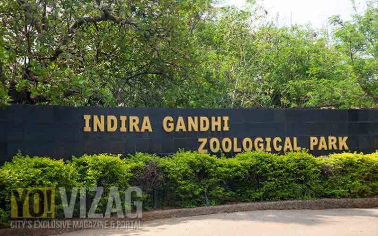 15 stunning photos of the wildlife at Indira Gandhi Zoological Park in ...