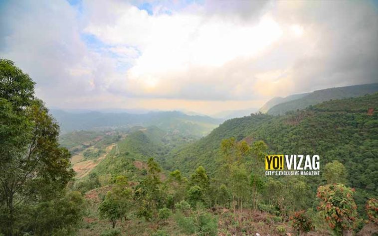 Araku Valley Visakhapatnam: 5 amazing things in the scenic hill station