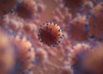 10 common myths about novel coronavirus debunked by WHO