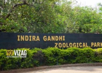 Vizag Zoo Park to be upgraded with world-class amenities