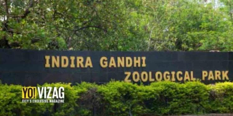 Vizag zoo set to reopen for visitors with strict Covid guidelines