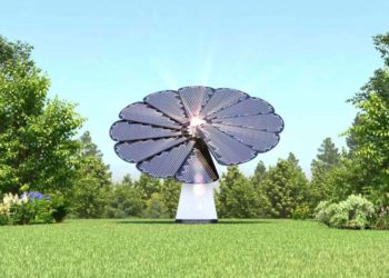 VMRDA Park in Vizag to tap solar energy with smart flower