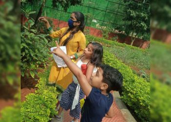 All you need to know about the Butterfly Walk Series at Vizag Zoo