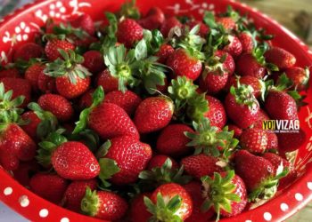 Go Strawberry picking: What you should not miss at Lambasingi in Visakhapatnam