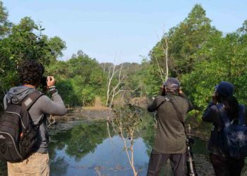 Great Backyard Bird Count: From Ruffs to Pied Harriers, 134 species recorded in Vizag