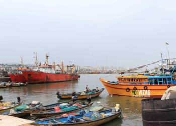 Visakhapatnam fishing harbour to receive fillip under Union Budget 2021-22