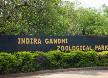 Vizag Zoo to conduct a Virtual Summer Camp for children