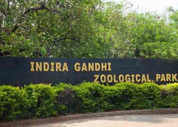 Vizag Zoo to conduct a Virtual Summer Camp for children