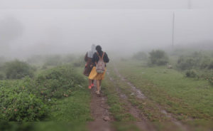 paderu near tourist places