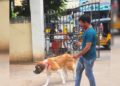 World Zoonoses Day: The importance of hygienic pet care in Vizag