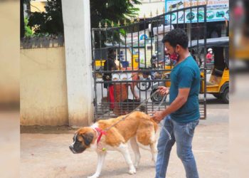 World Zoonoses Day: The importance of hygienic pet care in Vizag