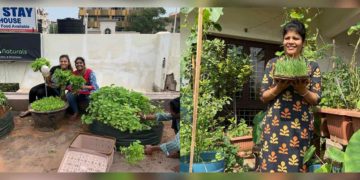 Terrace Gardening: The new favourite hobby of Visakhapatnam