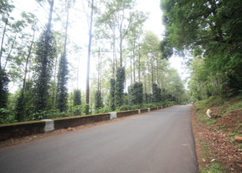 NH-516E to be developed as Green Highways in Araku Valley