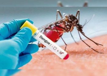 Dengue cases on the rise in Vizag; children in the city need to be alert