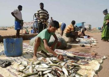 Ban on sale of fish by vendors on footpaths in Vizag