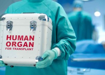 Organs airlifted from Vizag and Chandigarh; save 3 lives in Chennai