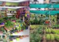 Plant nurseries in Vizag that gardening enthusiasts must visit