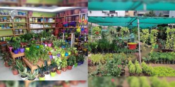 Plant nurseries in Vizag that gardening enthusiasts must visit