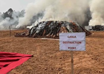 Visakhapatnam Police burnt ganja worth 500cr near agency areas