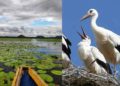 Trail along the picturesque bird sanctuaries in and around Visakhapatnam