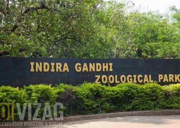 Indira Gandhi Zoo hosts fun activities to mark World Wildlife Day in Visakhapatnam