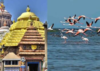 5 Must-visit places in Puri to have a splendid trip