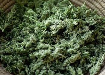 Lorry smuggling 2,280 kgs of ganja seized by Visakhapatnam Police