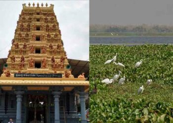 Must-visit places in and around Eluru