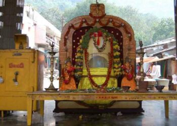 Special buses and parking areas to be arranged for Simhachalam Chandanotsavam