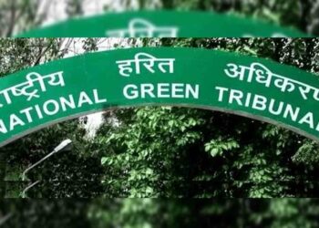 NGT orders stay on Rushikonda hills tourism project in Visakhapatnam