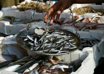 Surprise raids cost 24 traders in Visakhapatnam fish markets