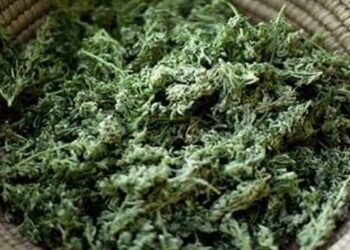 Vizag Task Force arrests two for smuggling 300 kgs of ganja from Paderu