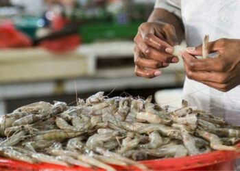 Vizag Port emerges as top contributor to India's seafood export