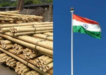 13 lakh bamboo poles being readied for Azadi Ka Amrit Mahotsav in Visakhapatnam District