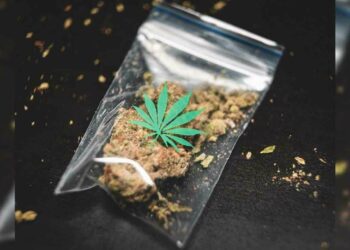 Vizag SEB constable suspected of selling 2 kilos of ganja