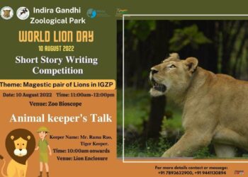 Special programs to be organized at Visakhapatnam Zoo on World Lion Day