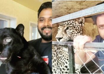 Andhra Pradesh doctor appeals Indian gov to rescue his pet jaguar and panther stuck in Ukraine