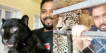 Andhra Pradesh doctor appeals Indian gov to rescue his pet jaguar and panther stuck in Ukraine