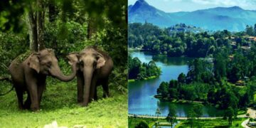 Make most of your upcoming trip with the best road trip routes in South India