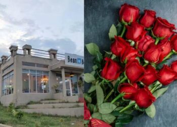 Celebrate Rose Day at these top 5 cafes in Vizag