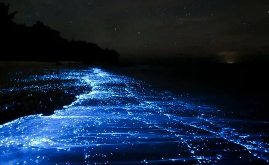 These places in India that glow at night are a sight to behold