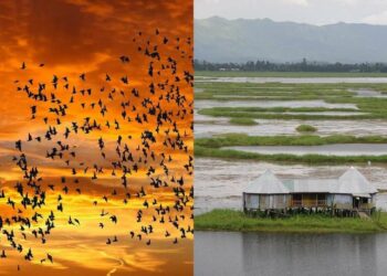 Witness the prestige of nature with these rare phenomena found in India