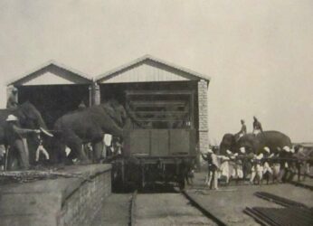 Ticking the clock back to times when circus often came to Vizag