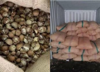 Customs department busts areca nuts smuggling racket at Visakhapatnam Port