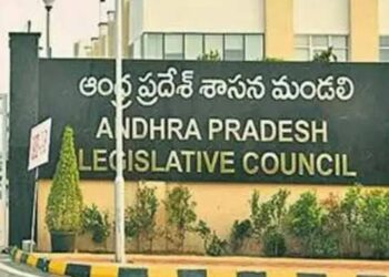 Andhra Pradesh: Win in MLC polls a morale booster for Telugu Desam Party