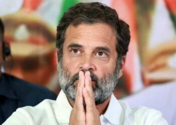 Rahul Gandhi to take part in Visakhapatnam Steel Plant privatisation stir, says APCC chief