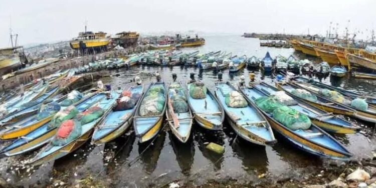 61-day fishing ban begins in Visakhapatnam for marine species conservation