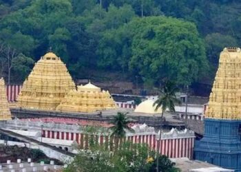 Visakhapatnam decked up for Simhachalam Chandanotsavam