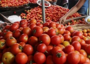 Visakhapatnam: Tomato made available at subsidy prices at Rythu Bazaars